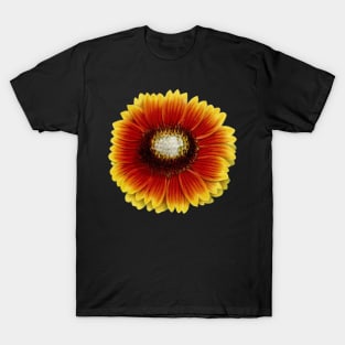 Yellow and Orange Flowers Pattern T-Shirt